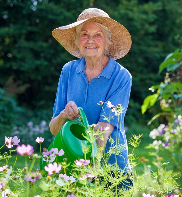 Elderly woman wearing hat and blue shirt watering flowers in a colorful garden.